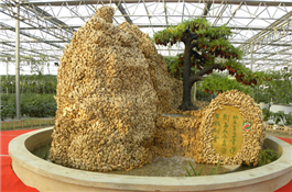 2_附件.jpg