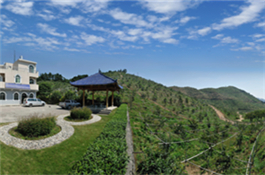 莆田市摩天嶺農業有限公司1.jpg