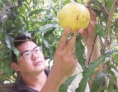 蔡志陽.jpg