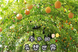 城北鎮愛麗絲莊園南瓜節.jpg