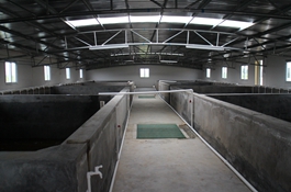 珠海市海綠水産養殖有限公司