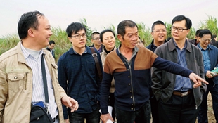 臺灣“花癡”蔡肇訓珠海育出香水蓮花