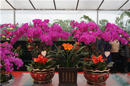 花卉展廳.jpg