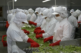 大越(慈溪)食品工業有限公司