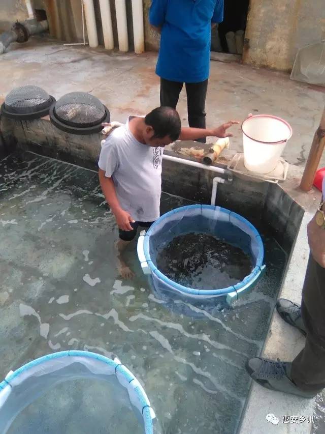 按此在新窗口瀏覽圖片