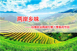 兩岸鄉味——臺灣農業兩岸行第二季系列節目.jpg