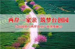 宣傳片.jpg