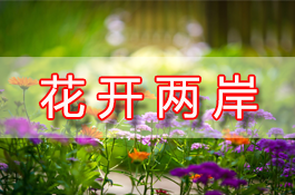 未標題-1.png