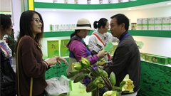 圖看臺創園展區