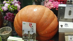 農交會上“奇奇怪怪”的展品們