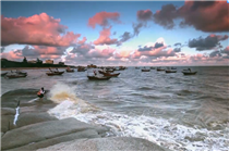 兩岸鄉味——海闊魚躍.png