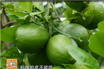 視頻4.png