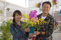 兩岸鄉味——花果大戲