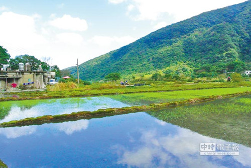 新北八煙聚落梯田映天可比《蘭陵王》裏白山村