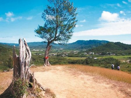 颱風吹散屏東“夫妻樹”村民循古禮為“夫樹”續弦