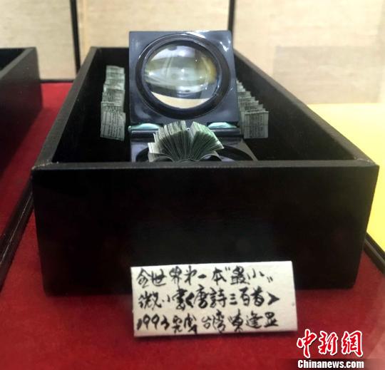 兩岸藝術家廈門聯展臺灣微雕大師吸引大陸觀眾