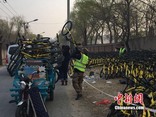 有故障的共用單車正源源不斷地送到維修點。<a target='_blank' href='http://big5.chinataiwan.cn/gate/big5/www.chinanews.com/' _fcksavedurl='http://big5.chinataiwan.cn/gate/big5/www.chinanews.com/' ></table><p  align=