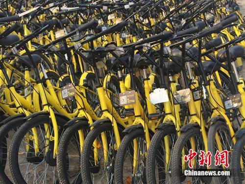 在共用單車維修點，很多共用單車二維碼被涂損。<a target='_blank' href='http://big5.chinataiwan.cn/gate/big5/www.chinanews.com/' _fcksavedurl='http://big5.chinataiwan.cn/gate/big5/www.chinanews.com/' ></table><p  align=