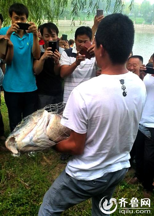 山東一小夥釣40斤重青魚 承包老闆獎千元放生