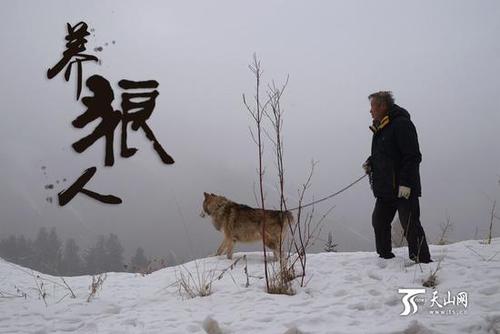 71歲的楊長生在野狼谷整日與群狼朝夕相伴