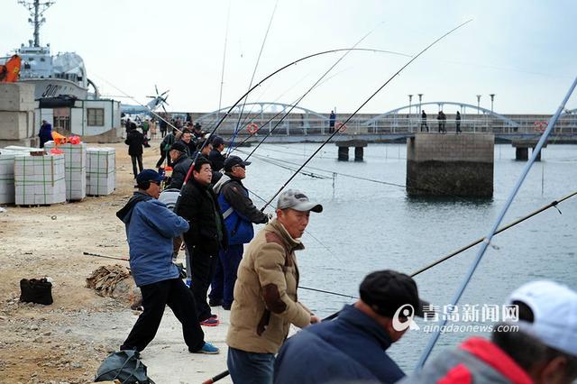 組圖：青島市民海邊釣魚不用餌 一天能釣40斤