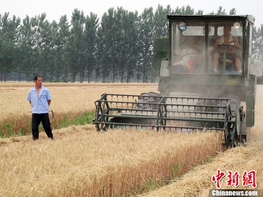 多個糧食主産區量減價跌一些地方虧損嚴重