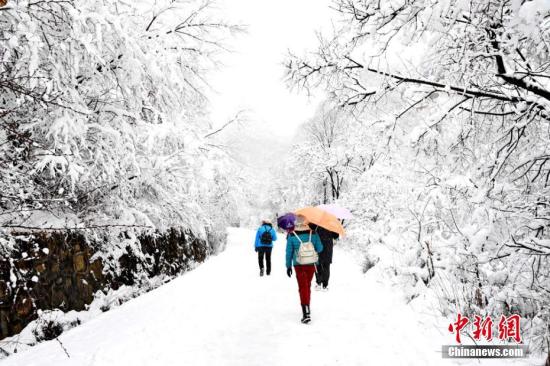 受寒潮影響，2017年3月12日，甘肅崆峒山景區迎來一場鵝毛大雪。徐振華 攝