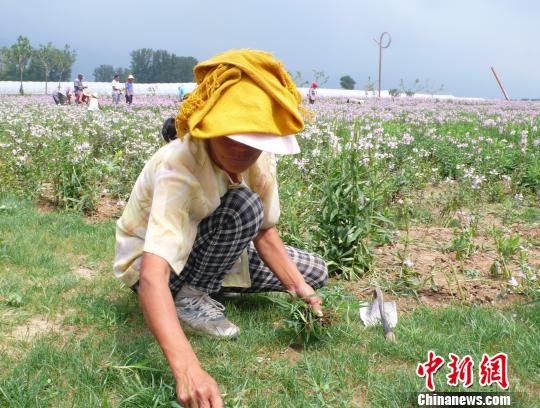 葡萄酒在京城的前世今生