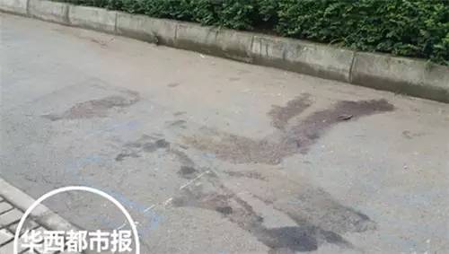 乘客劫殺路虎專車司機