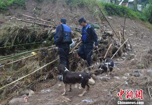 圖為公安警犬搜救隊搜尋小媛。 文成警方供圖