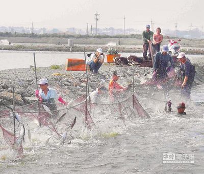 2014台灣彌陀港虱目魚節 下月初將登場（圖）