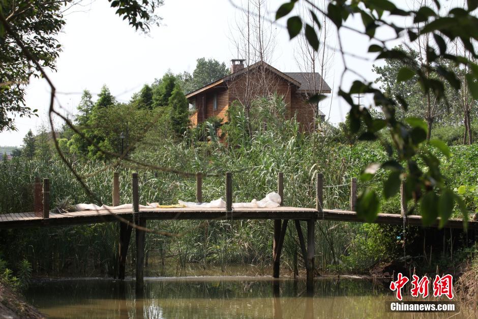 上海最“牛”違建豪宅藏秘林中