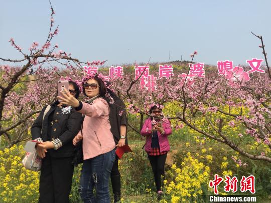 圖為海峽兩岸婆媳在桃花樹下合影留念。　林波 攝