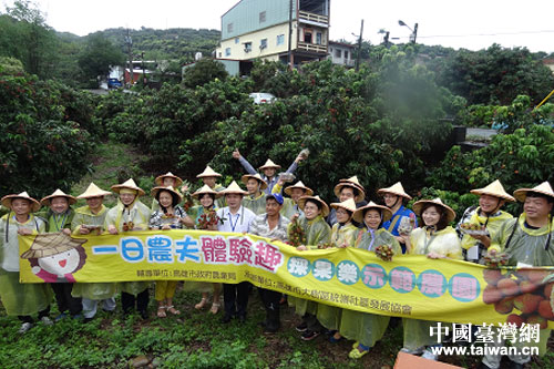 高雄市大樹區一日農夫體驗活動