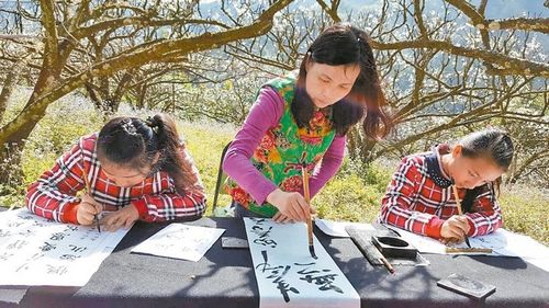 嘉義梅山300株李花齊開書法家樹下揮毫（圖）