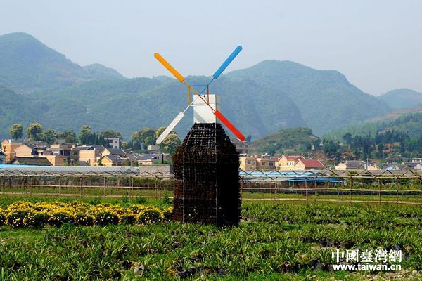 臺金生態農業觀光園內田園風景。