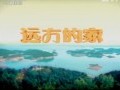 宜賓：蜀南竹海