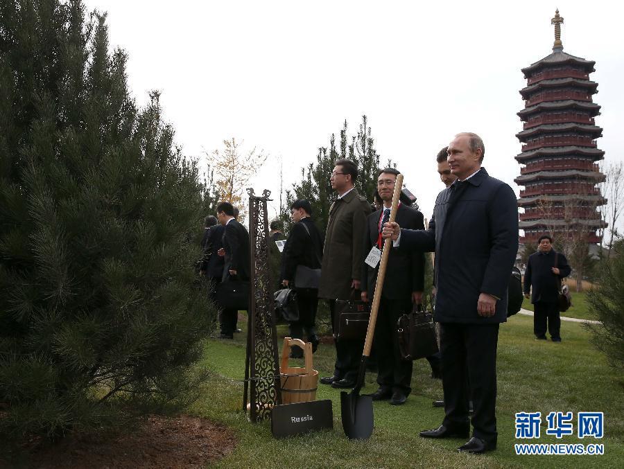 習近平與APEC領導人、代表共植夥伴林