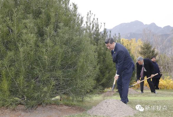 共繪亞太藍圖(圖)