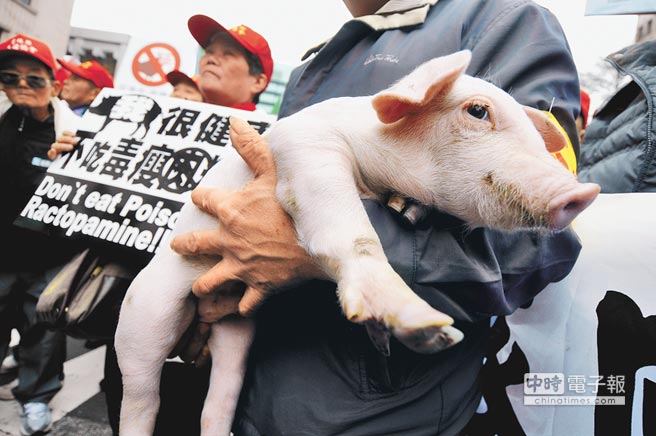 圖為過去臺灣養豬協會數千名養豬戶走上街頭抗議，有豬農帶小豬表達拒絕瘦肉精的訴求。（圖片來源：臺灣《中國時報》）