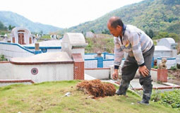 “內政部”欲在公墓設太陽能 網友諷：非核家園變墓園