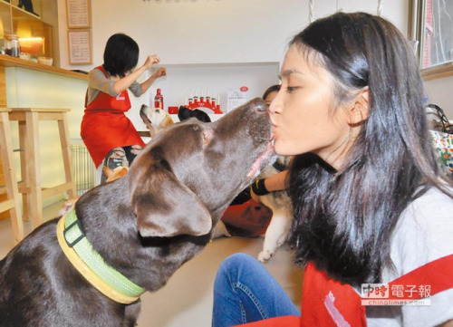 和狗玩親親女子被愛犬咬掉嘴唇肉