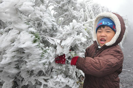 寒潮降臨臺灣 太平山森林結霧凇(圖)