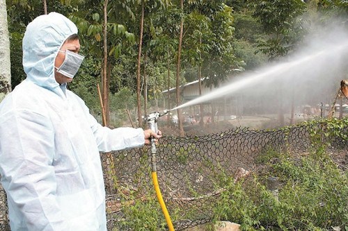 臺東確認禽流感養雞場全面撲殺消毒（圖）