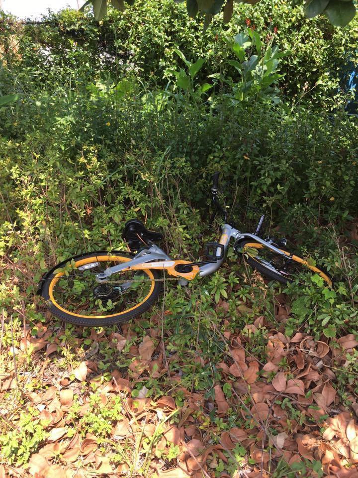 臺灣共用單車oBike遭惡搞 數十輛車被丟進溪裏泡水