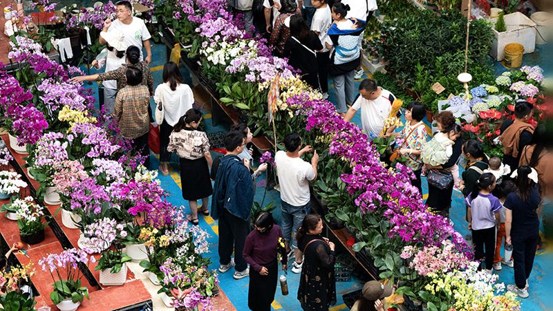 全年銷售額將破2000億 我國賣出的花可繞地球多少圈？