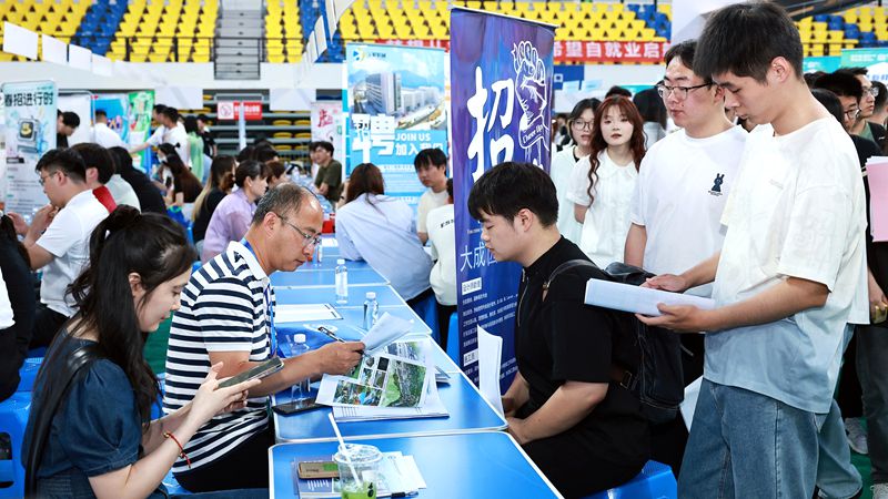 各地城市聯合招聘出新招 助力高校畢業生就業