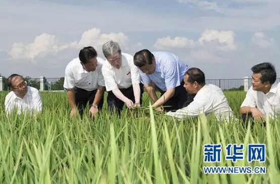 “平語”近人——習近平的“三農觀”