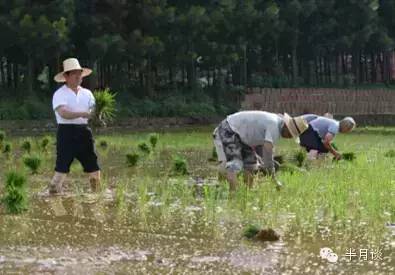 退休官員變身新鄉賢 南昌市原市長還鄉做農夫