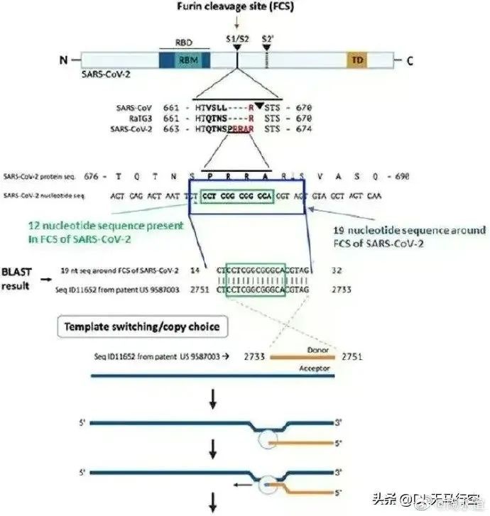 突發：英媒宣稱，研究證實新冠病毒是美國公司製造